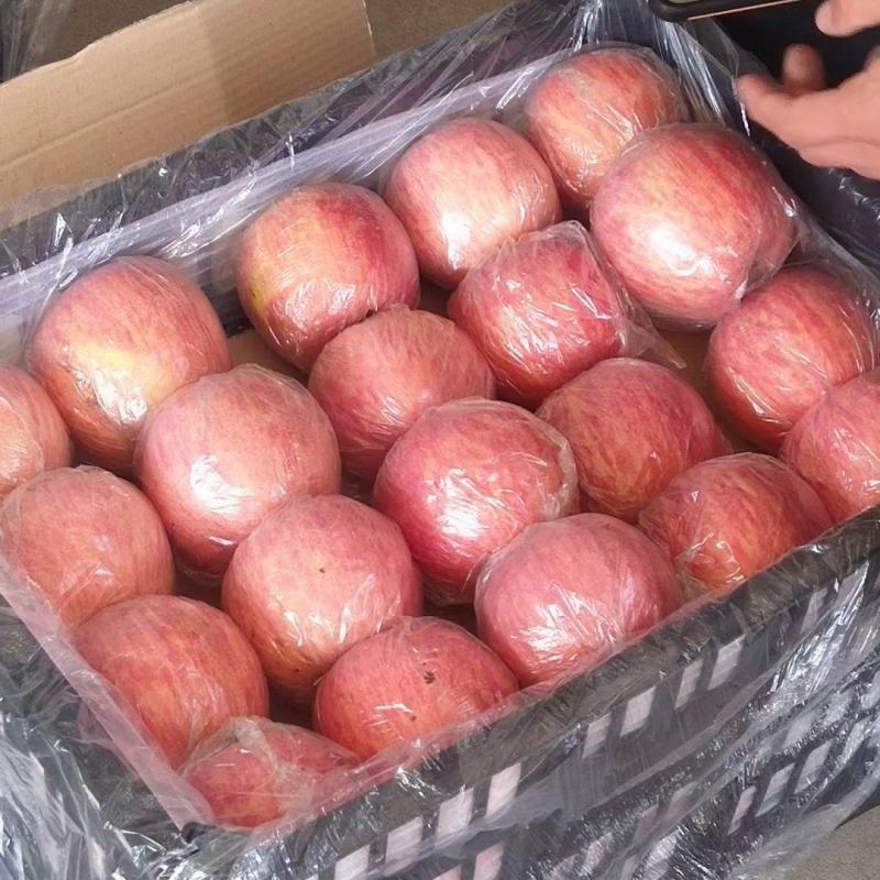 山西批发选购指南